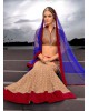 brown colour net lehenga
