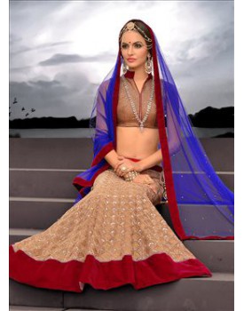 brown colour net lehenga