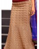 brown colour net lehenga