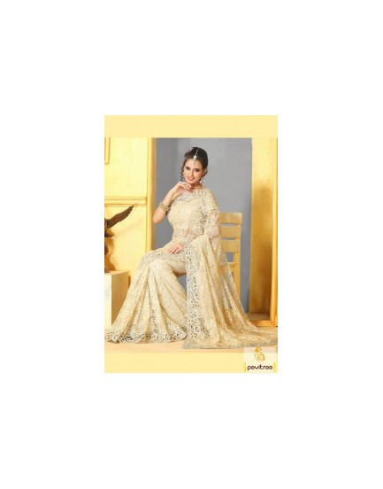 beautiful-cream-net-designer-saree