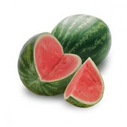 WATER MELON REGULAR